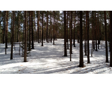 IMG 20180408 101435.jpg