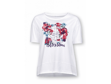 DFT6702-2 �������� �������.png