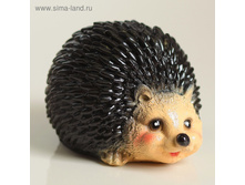 ������� ������ "������" 17�12��