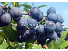 ����  220�