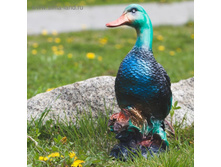 ������� ������ "����" ޣ���-�������