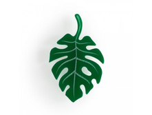 ����� Tropical leaf