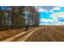 P 20180429 142331-01.jpeg