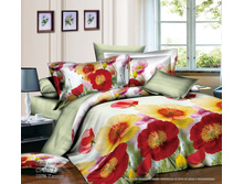 ���������� ���� �� ������� ���.RP-291.jpg