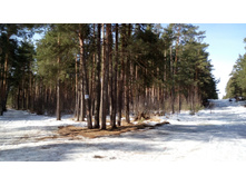 IMG 20180408 093100.jpg