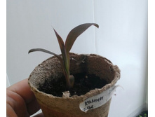 20180331
