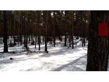 IMG 20180408 104234.jpg