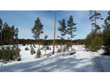 IMG 20180408 102818.jpg