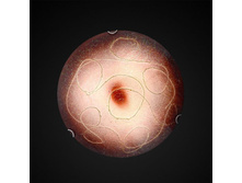 366������ ������ 1-5710-3-WH E27.jpg