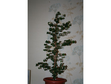 ����� �������!