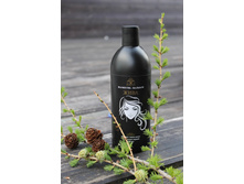 ������� �������� ���� 500��