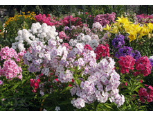 ������ � ����..