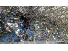 WP 20180425 13 30 09 Pro.jpg