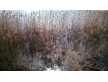 WP 20180425 13 27 10 Pro.jpg