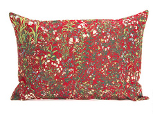 ����� ��� ������� <<������ ������>>