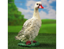 ������� ������ "����" ����� 37�22��