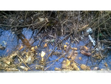 WP 20180425 13 28 18 Pro.jpg