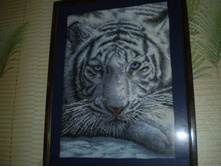 �����  ����