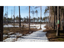 IMG 20180408 082801.jpg