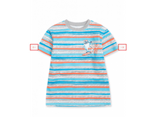 BFT5021-2 �������� ��� ���������.png