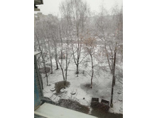 11 ������ 2018.jpg