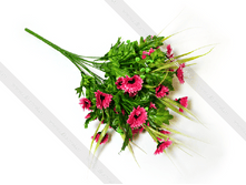 587aa5a77ad92 romashsosokoi-40-40.png