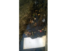 WP 20180425 13 28 33 Pro.jpg