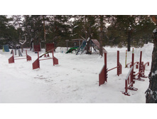 IMG 20180128 111636.jpg