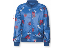 DZIM6704 �������� �������.png