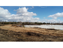 IMG 20180407 135132.jpg