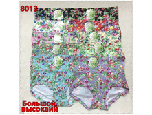 ����� ������� ������� �������� DINAI-8013 50 ���