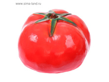 ������� ������ "�������"