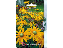 �������� ����� ��. 50 ���.jpg