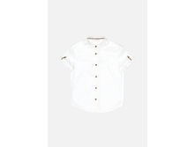 20120290031   Guppy   �����(���).jpg