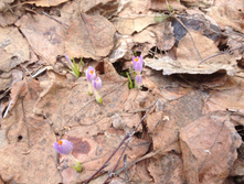 ������� 21.04.2018