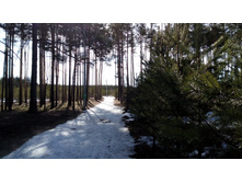 IMG 20180408 084927.jpg