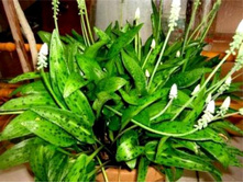 ���������� �����.jpg