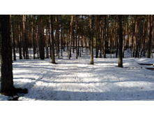 IMG 20180408 082311.jpg