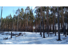 IMG 20180408 084501.jpg