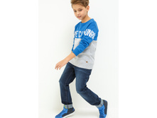 20110160133   Mit   �����-����� 1.jpg