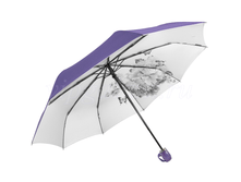 Zont-zhenskiy-832-diniya-3-slozh-s-a-tsvety-vnutri-serebro 23.png