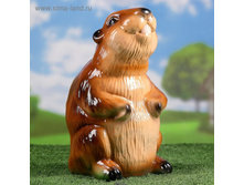 ������� ������ "�����" 21�16�30��