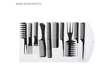 �������� � ������ 10 ���������