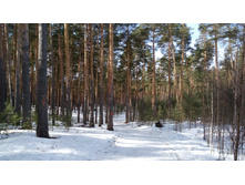 IMG 20180408 095625.jpg