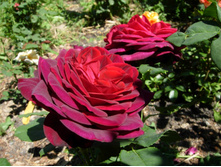 ������ ������ ��� ���������� 180� 9��.jpg