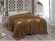 2009 ��������.jpeg