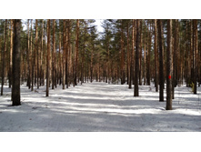 IMG 20180408 104433.jpg