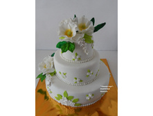 ��������� ���� � ������� ���������