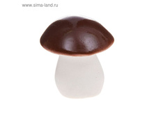 ������� ������ "����� ����" �����, �������, ������� ������