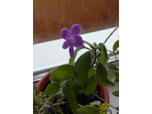 IMG 20180401 114405.jpg